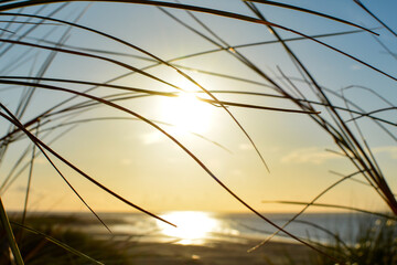 View through beach grass to the sea at sunset