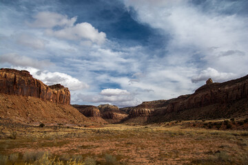 Plaint between cliff in the Canyonland
