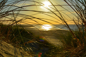 Orange Sunset on the beach with dune grass