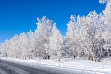 Winter road and snow-covered trees. Winter landscape with birch trees in the snow and a bright blue sky.