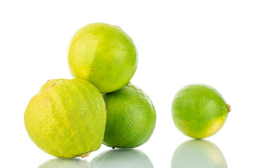Four fragrant bergamot, close-up, isolated on white.