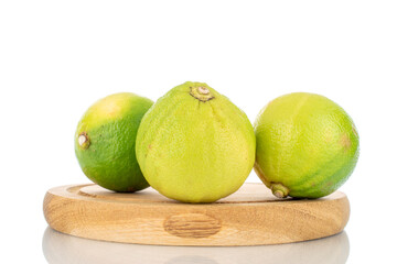 Several fragrant bergamots on a wooden tray, close-up, isolated on white.