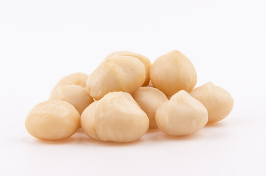 macadamia nut