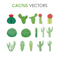 vector cactus set 