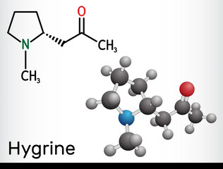 Hygrine pyrrolidine alkaloid molecule. It is found in the coca plant. Structural chemical formula and molecule model.