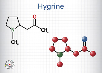 Hygrine pyrrolidine alkaloid molecule. It is found in the coca plant. Structural chemical formula and molecule model. Sheet of paper in a cage