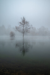 Fototapeta premium fog on the river