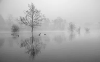 Foto auf Leinwand fog on the river © Ammar