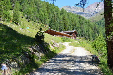 Beautiful landscape in Southtyrol with mountains behind 