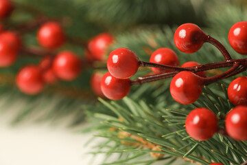 Christmas tree branches with red berries, close up