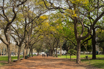 Public park in Palermo, Buenos Aires