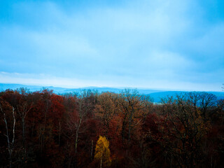 Fototapeta premium Die herrliche Landschaft