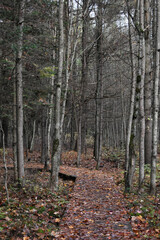 Obraz premium La Plaine