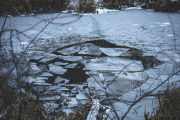 Thin broken ice on the pond in the forest. Fallen tree under the ice. Forest in December