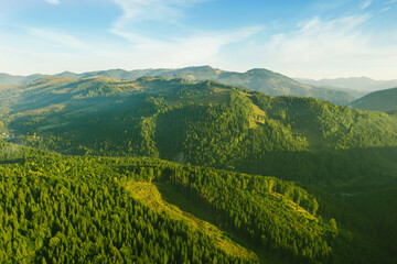 Obraz premium Beautiful mountain landscape with green forest on sunny day. Drone photography