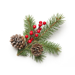 Christmas decoration element isolated on white. DIY festive, natural, zero waste, plastic free...
