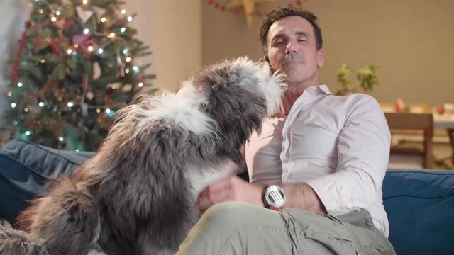 Man is sitting on the couch while talking on a phone. At the same time, he caresses his dog, which is also lying on the couch. The living room is decorated in the spirit of Christmas.