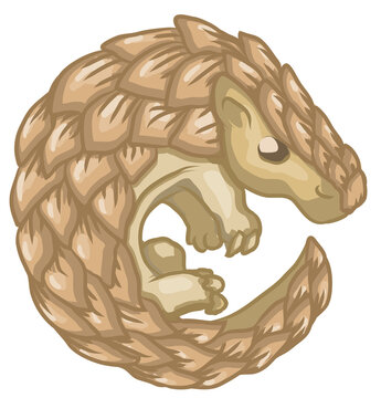 Pangolin Cartoon