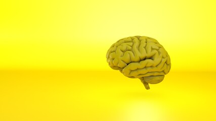 Digital generated image of yellow brain on yellow background. Yellow Human brain Anatomical Model 3d illustration
