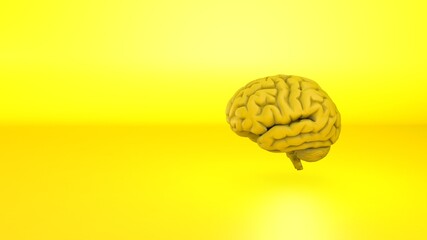 Digital generated image of yellow brain on yellow background. Yellow Human brain Anatomical Model 3d illustration
