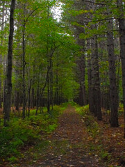 Obraz premium La Plaine