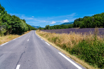 C&ocirc;te d&rsquo;Azur in Frankreich, eine Traumreise f&uuml;r den Sommer. Lavendel Felder, Nizza, Antibes, Cannes, Monaco und die Schlucht von Verdon