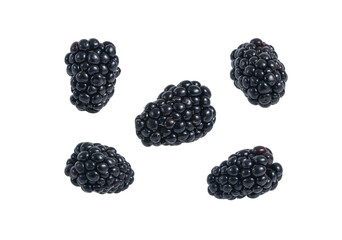 Fresh blackberry falling on white background close up