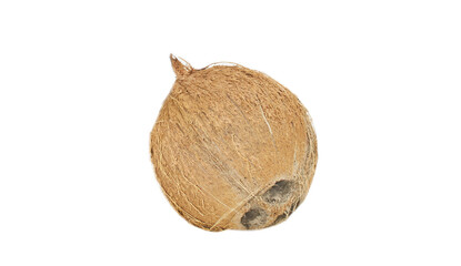 Coconut isolated on white background with clipping path