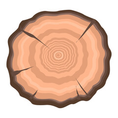 Tree slice with rings top view. Old stump. On a white background. Vector illustration in cartoon style.