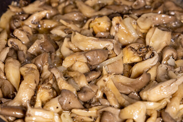 Fried oyster mushrooms, close-up. Vegetarian dish fried yellow mushrooms. A natural product. Delicious freshly cooked fried oyster mushrooms in a frying pan. Gifts of the forest. Selected focus