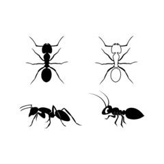 Ant icon.