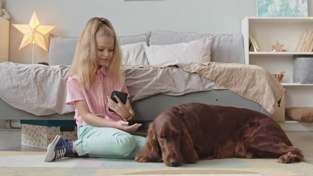 Slowmo stab shot of pretty 8-year-old girl playing and taking photos of her cute Irish setter dog on smartphone sitting on floor next to bed in cozy bedroom