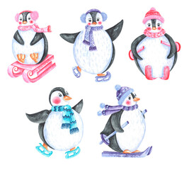 Penguins watercolor set of illustrations. Sports penguins. Winter sports. Skis, skates, sleds. Penguin in a hat and scarf. Bright colours. Illustrations are isolated. Winter, Christmas, New Year's. 