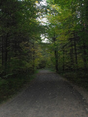 Obraz premium La Plaine