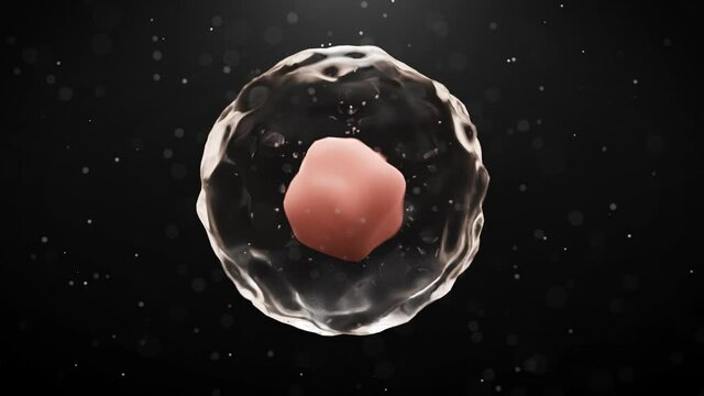 Animierte Zelle mit Zellkern und Fl&uuml;ssigkeit Partikel - Thema Gentechnik oder Embryo - Loop