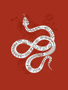 Mystic print snake with rose, vector illustration in trendy linear and silhouette minimal style. Vector interior posters.