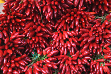 Der roter Chili geh&ouml;rt zur Pflanzengattung der Paprika. Er ist ein Nachtschattengew&auml;chs. Die Fr&uuml;chte werden als Gem&uuml;se und Gew&uuml;rz verwendet. 