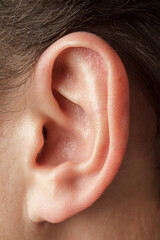 Human auricle, men, outer ear, structure and anatomy, hearing loss and testing, selective focus
