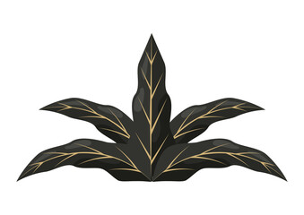 tropical plant leafs