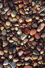 Various grey, pink, brown colours small stones with blades of grass on a sunny day. Full frame. Background or backdrop