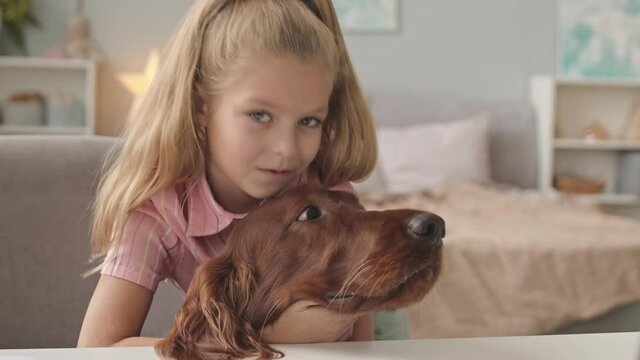 Slowmo chest up portrait of pretty 8-year-old Caucasian girl posing for camera with cute Irish setter dog at cozy bedroom