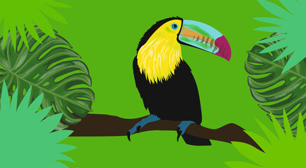 Plakat toucan in the forest
