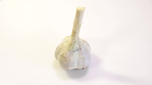 rotating garlic head on wite background.