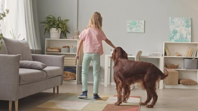 Slowmo full shot of happy 8-year-old girl and lovely Irish setter dog playing with ball at cozy girls bedroom