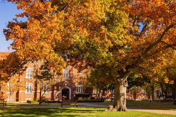Beautiful fall color view of the campus of Univeristy of Oklahoma
