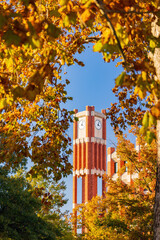 Afternoon view of the clock tower of Univeristy of Oklahoma