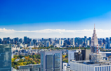 Fototapeta premium 東京都庁から眺める都心部