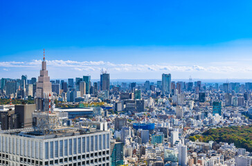 東京都庁から眺める都心部
