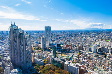 Fototapeta premium 東京都庁から眺める都市風景