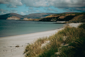 Fototapeta premium The beaches of the Falkland Islands
